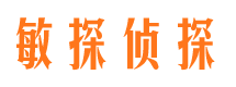 应县敏探私家侦探公司